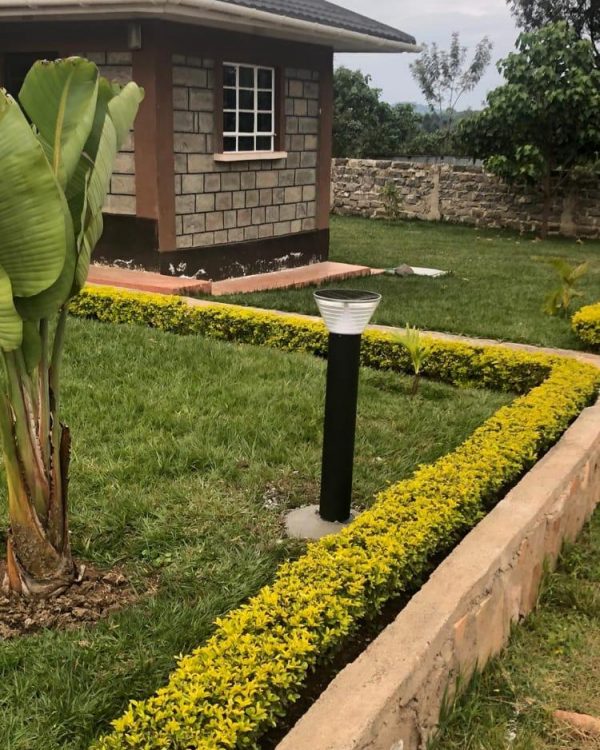Ecovexststems Garden Lights