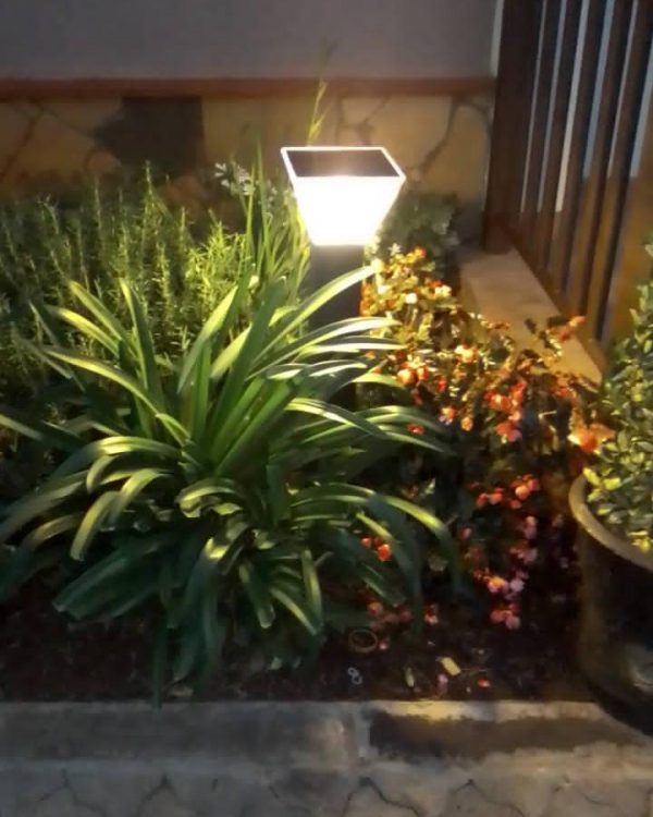 Ecovexsystems Garden Lights 