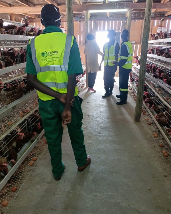 Inspection