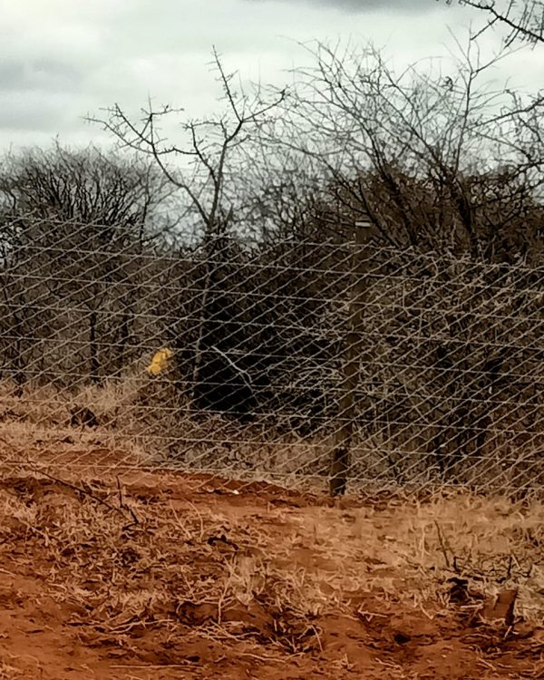 Range Electric fencing