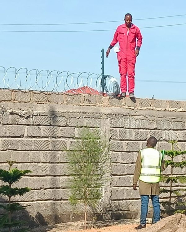 Electric Fence Installation